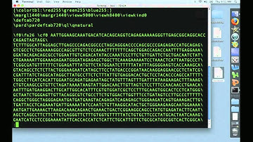 Using the Terminal 1: "grep" and "less"