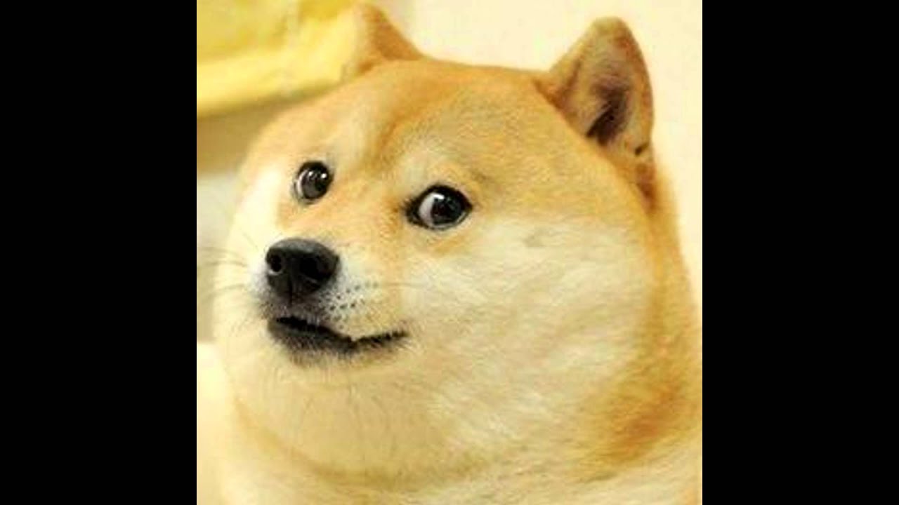 Foto So Doge - YouTube