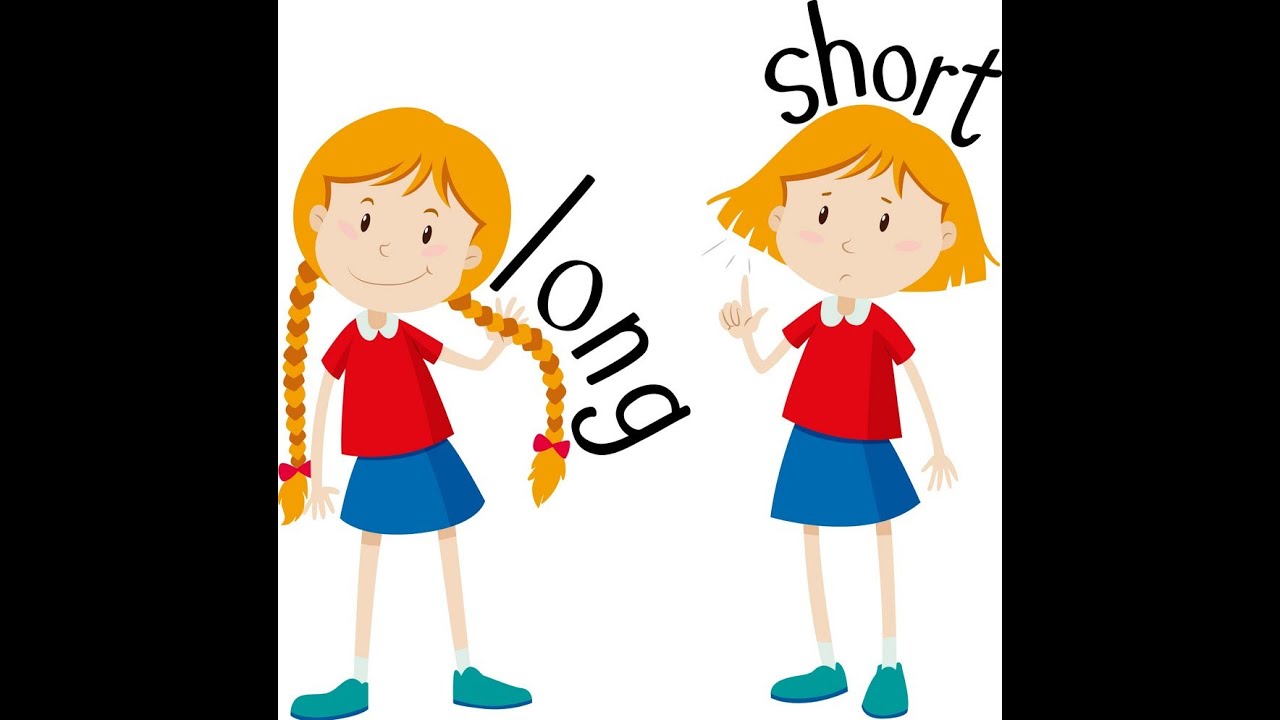 Tall short fat thin. Long short. Картинки long short. Long or short рисунок. Long shorts с прозрачным фоном.