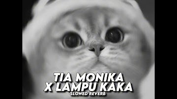 DJ Tia Monika x Lampu Kaka Bootleg Slowed - Viral TikTok 2025 (SMXXL x QUEEN FIRA)