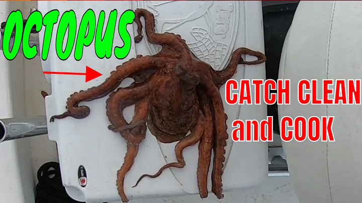 OCTOPUS Catch Clean and Cook 3 WAYS