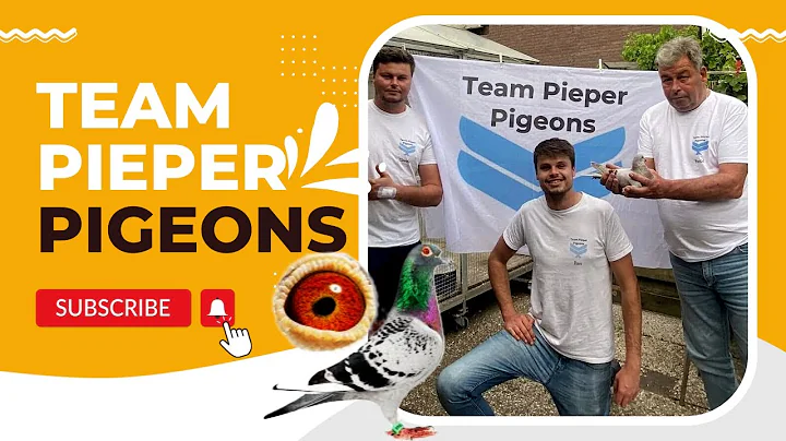 Team Pieper Pigeons | Marcel Pieper, Claudio Marce...