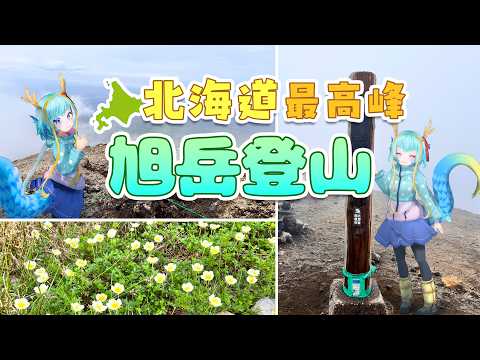 【#万秋の山日記】北海道最高峰『旭岳』登頂リベンジ！【竜田万秋/Vtuber】
