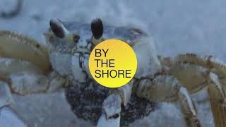 Module 3: Beach