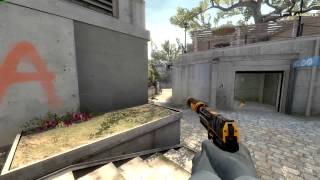 Overpass USP Ace