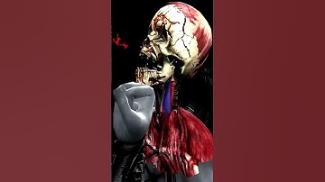 Mortal Kombat - All X-Ray Attacks