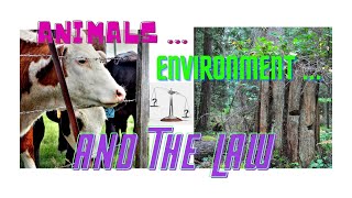 Randall Abate: Laws for Environment + Laws for Animals = Climate Justice