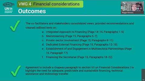 SAICM Virtual Working Groups Process (VWG4)