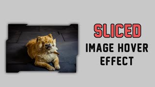 Sliced Image Hover Effect Using Only CSS3 || Full Tutorial