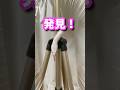 衝撃の降り方 #爬虫類 #白蛇 #コーンスネーク #動物好き