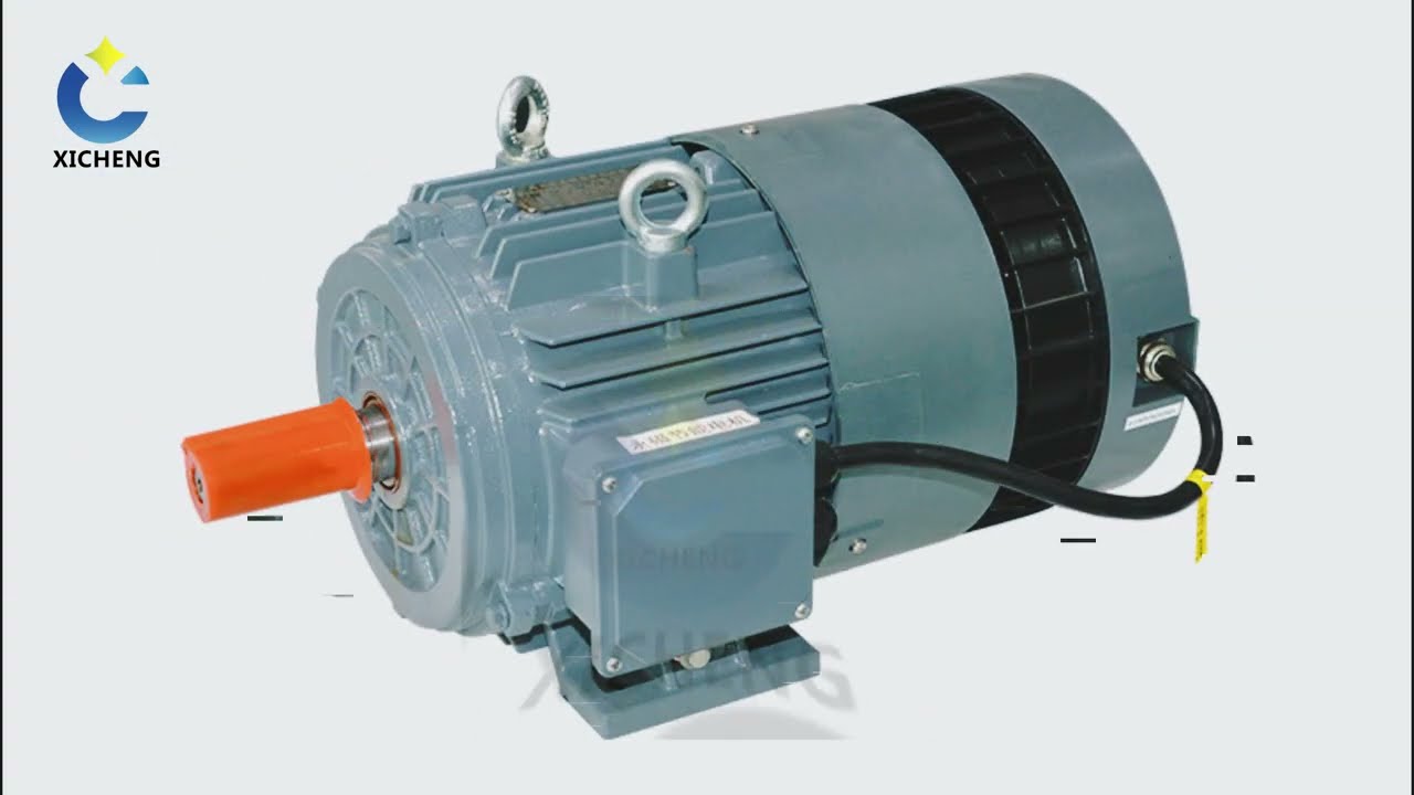 Drive integrated permanent magnet motor | XICHENG