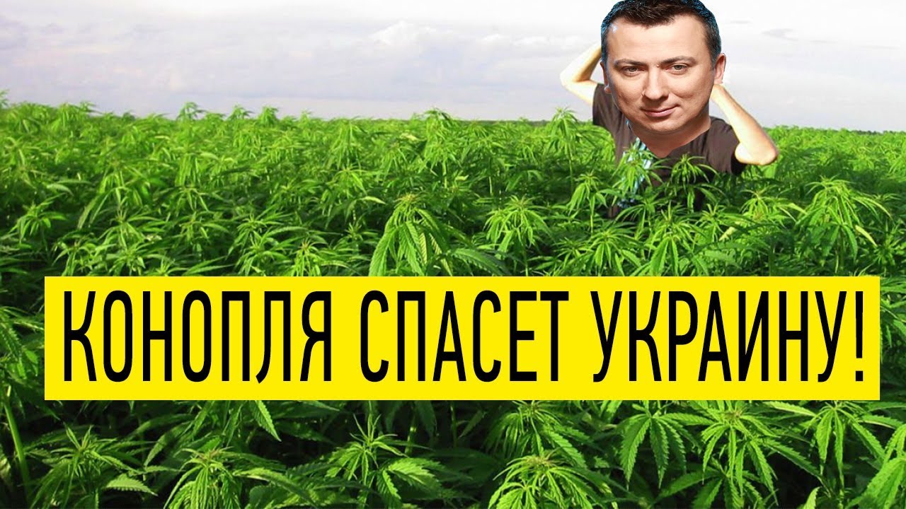 Песни про марихуану как в тор браузере выбрать россию gydra