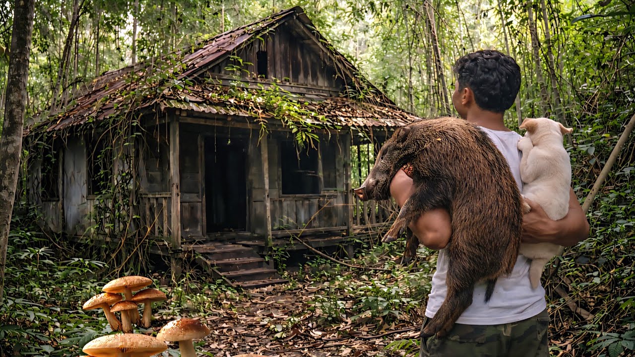 35 hours: CEO reclaims wasteland and grows mushrooms using traditional methods in Vietnam.