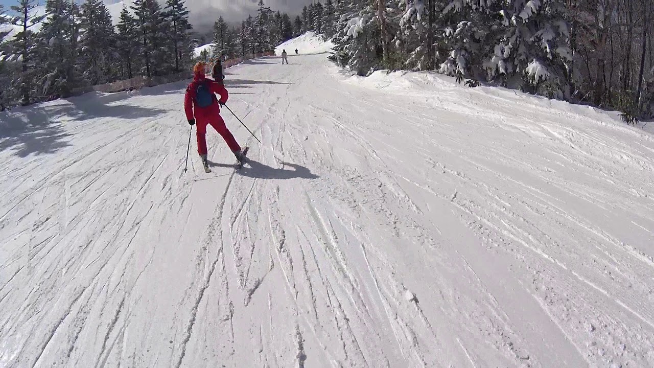 パノラマコース 衝突回避・崖下に転落  無事生還