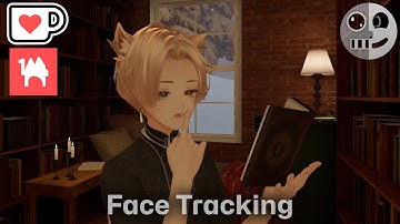 Alué - Face Tracking Add On