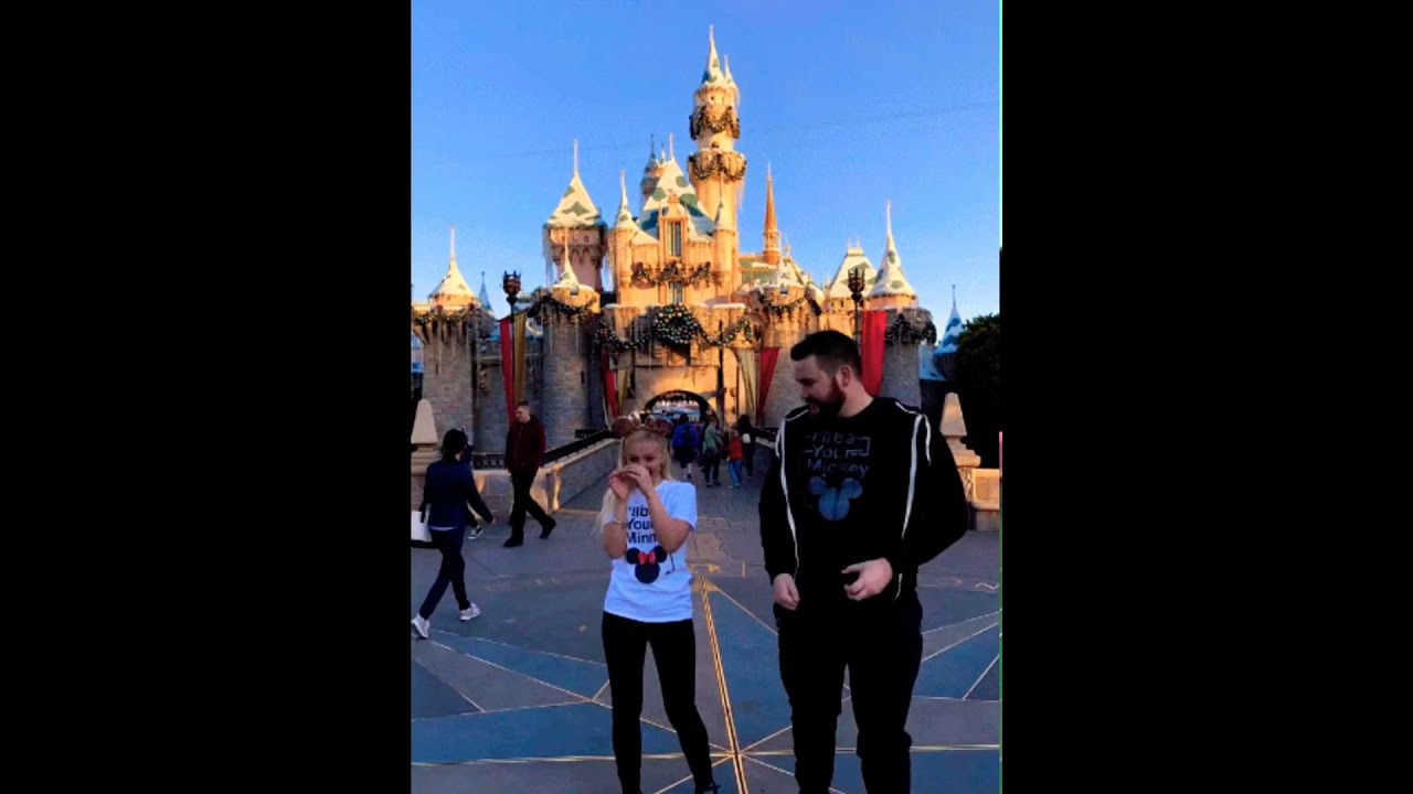 Our engagement proposal at Disneyland Castle