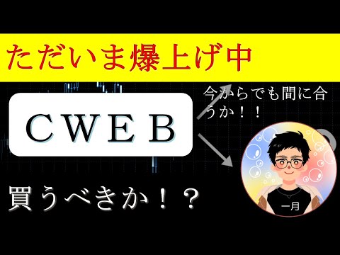 ただいま爆上げ中のCWEBを買うべきか考える
