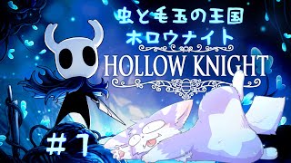 【ホロウナイト】難しいメトロイドヴァニアな世界を駆け巡る！！【Hollow Knight】
