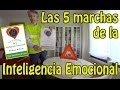 Las 5 marchas de la Inteligencia Emocional: dinámica para aprender a conducir las emociones