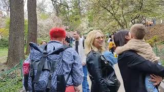 Kyiv, Fomin Botanical Garden review of magnolias