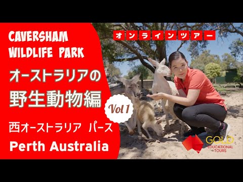 オンラインツアー　オーストラリアの野生動物編 Vol1 / Caversham Wildlife Park