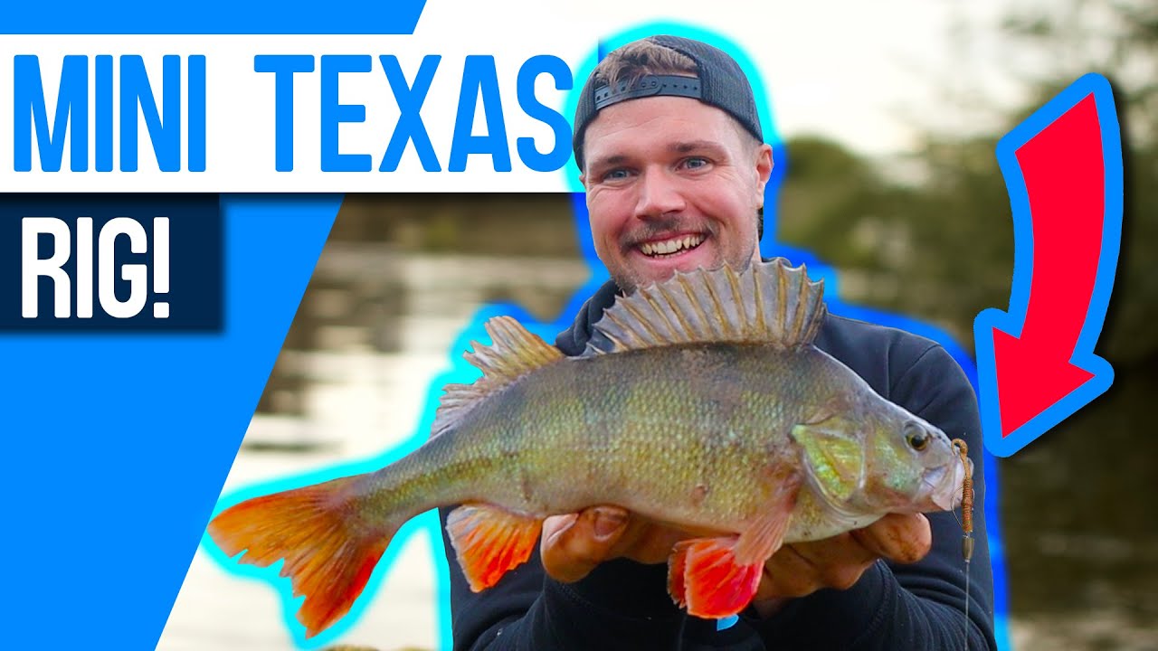 Try this MINI Texas rig to catch A LOT of PERCH! 