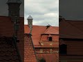 altes Deutschland #shorts #birds