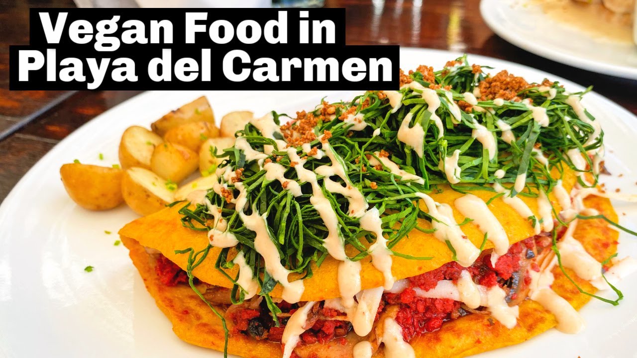 Playa del Carmen Vegan Food Tour | Vegan Food in Playa del Carmen - YouTube