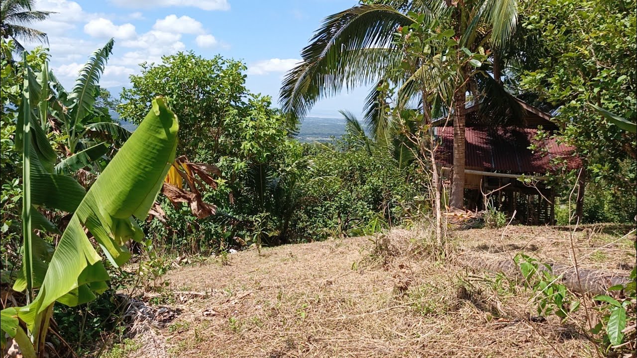 (P# 969) 8,000 sqms Farm lot na may overlooking at mountain views sa Cavinti, Laguna @ 4.8M only