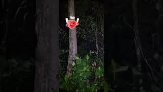 Paranormal Live : (Part 3/5) Arasz Hunting @ Bukit Gasing Petaling Jaya v15 - (S15E03)