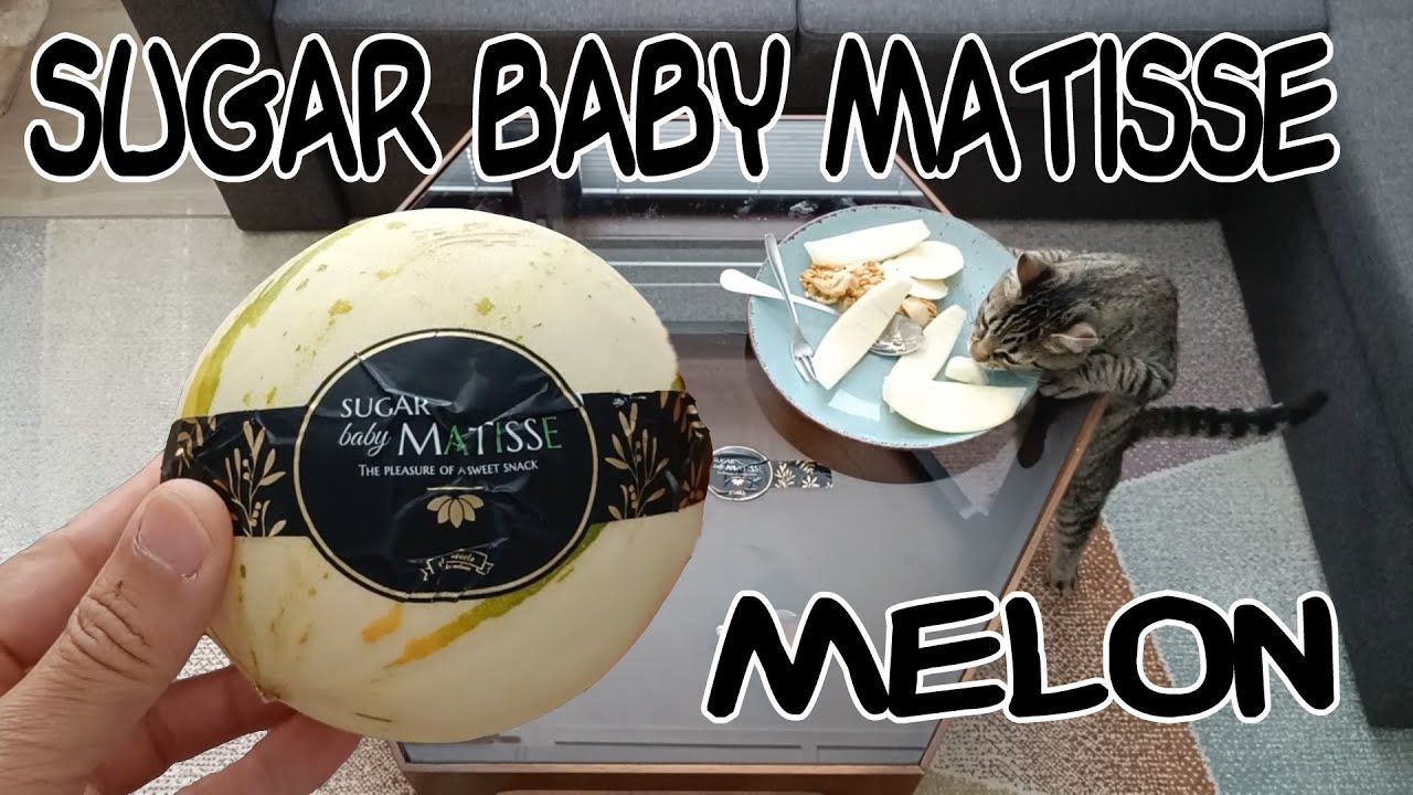 Have You Ever Tried Sugar Baby Matisse Melon? YouTube