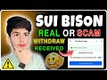 Sui Bison Telegram Bot Review || Deposit / Withdraw || #ahmadearningcenter