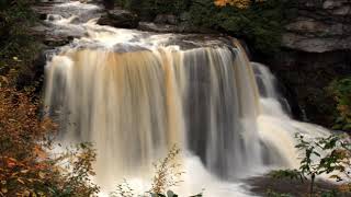 Environment of West Virginia | Wikipedia audio article