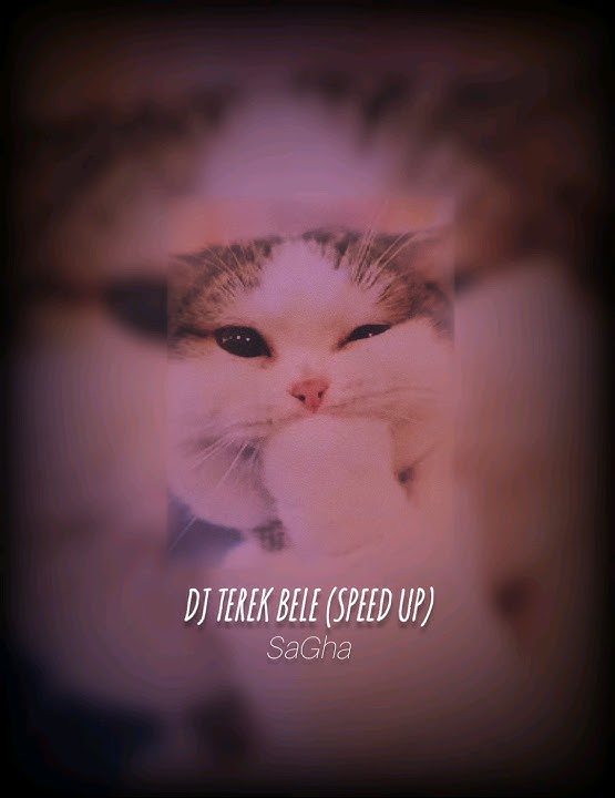 Download lagu DJ TEREK BELE (SPEED UP) REEF ONLY 🔥