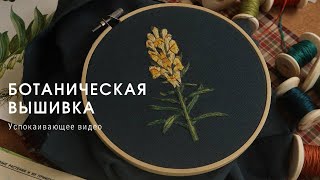 ботаническая вышивка 🍃 [успокаивающее видео]