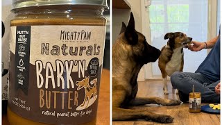 Dog Safe Peanut Butter #belgianmalinois #mightypaw #smartdog by Neu County 1,874 views 1 month ago 1 minute, 3 seconds