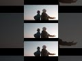 【MVショート2】僕の隣はいつもきみ/音虎とErii #newmusic #僕の隣はいつもきみ #音虎とerii # #歌ってみた #mv