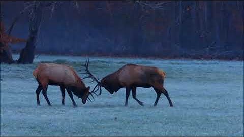 POEMS, PRAYERS AND PROMISES   John Denver {HD}