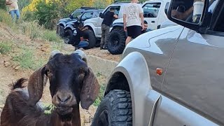 Suzuki jimny Greece