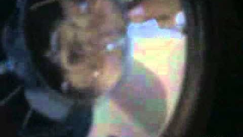 12vdb.com - car audio database: Jensen Xs10.4