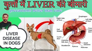 Dog Liver desease | Liver Function | Dog के Liver रोग के कारण #liver disease #dog liver disease by THE PET GUY 157 views 4 months ago 4 minutes, 33 seconds