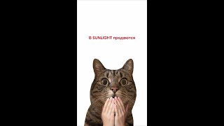 А вы знали, что в SUNLIGHT есть еще и сумки?🔥