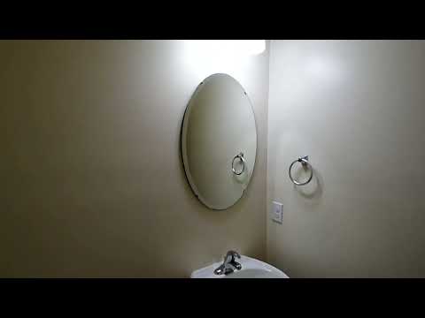 161 Crimson Queen Dr, Blythewood, SC home video tour