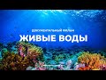 Живые воды. Разумный замысел в океанах Земли. Документальный фильм | Мифы эволюции