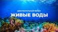 Удивительный мир подводной фотографии ile ilgili video