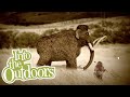 Paleo Diet and Hunting Practices