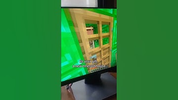 POV : Minecraft Villager does/doesn