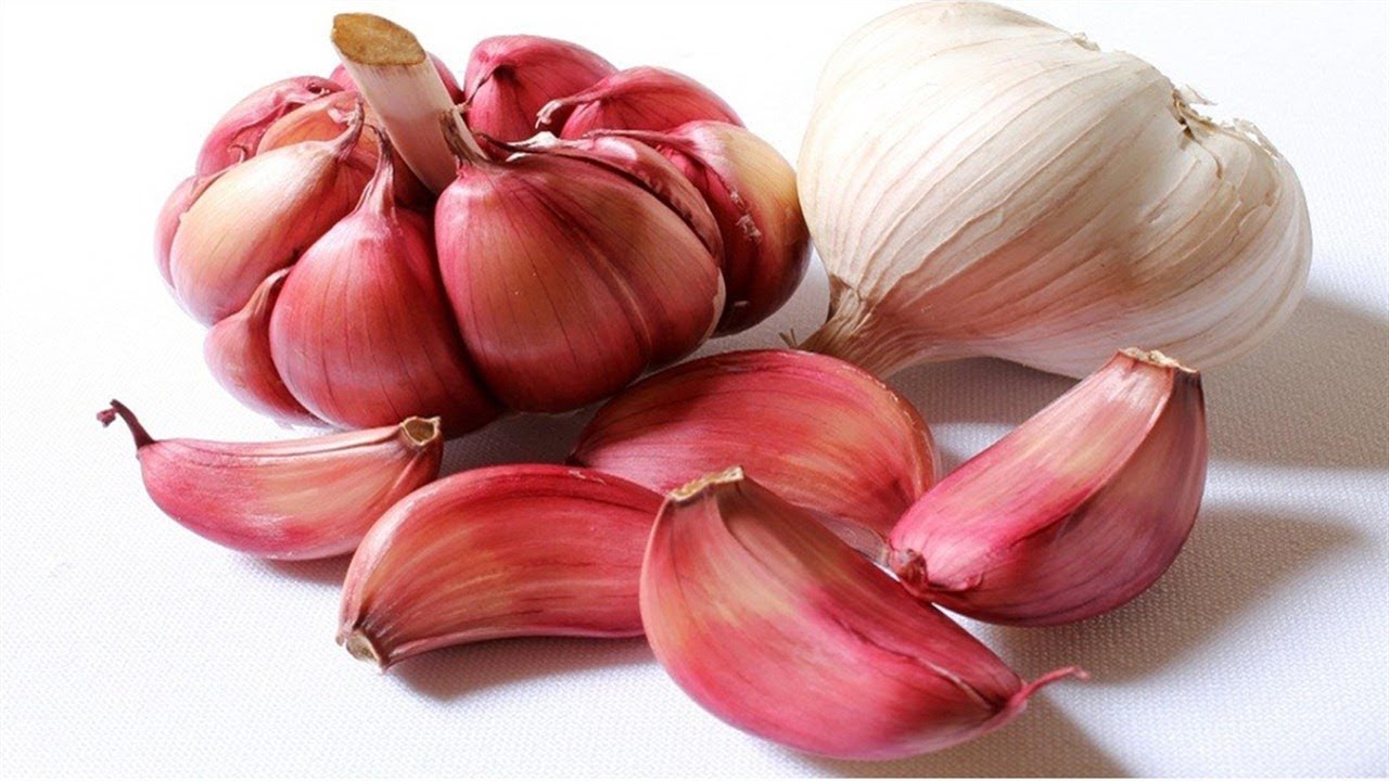 Ajo En Ayunas Por Cuanto Tiempo 💪 Comer Un Diente De Ajo Por Dia YouTube