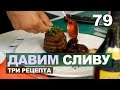 Слива и всё, что можно из неё сделать. Ткемали, румынский пирог со сливой, мясо со сливой