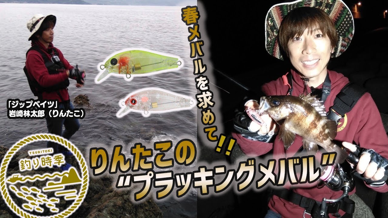釣り時季 春メバルを求めて りんたこの プラッキングメバル Youtube